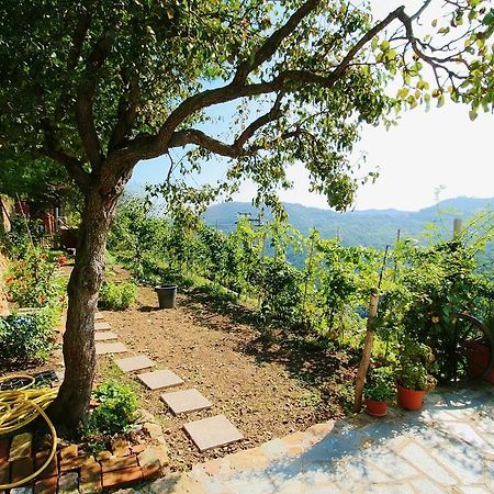 Agriturismo Costamagna Noli Exteriér fotografie