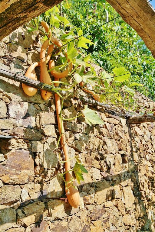 Agriturismo Costamagna Noli Exteriér fotografie