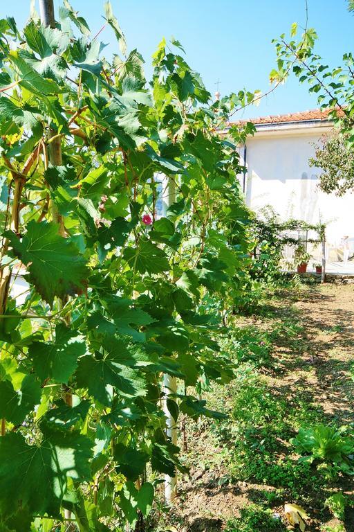 Agriturismo Costamagna Noli Exteriér fotografie